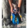 ملابس Clothing Pet Cosplay Sphinx Hairless Cat Clothers مجموعة ليون كاتز زي الهالوين مهرجان مهرجان مخصص الكلب المصنوع يدويًا الكلب