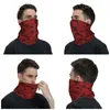 Scarves Straw Hat Grand One Pieces Bandana Neck Gaiter Printed Balaclavas Wrap Scarf Outdoor Cycling Running Unisex Adult Windproof