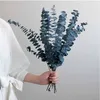 Fleurs décoratives 3pcs feuilles d'eucalyptus bouquet de fleurs séchées naturelles préservées pour bohème vraie plante salon bricolage maison de mariage