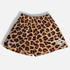 American Inaka Summer Summer Straight Breathable Leopard Print Men Plus Tamas Shorts