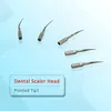 5pcs/set flosser rergator reprigator tips for flosser water ، نصائح نفاثة ذات ضغط عالي ، ورؤوس استبدال تعبئة Flosser ، نصائح للري من تقويم الأسنان