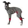Dog Apparel Italian greyhound striped four legged clothing soft stretchy whippet winter warm dog 231127
