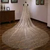 Brudslöjor L Retro Luxury Lace Champagne Veil Single Layer 3M Cathedral Tail Wedding Accessories