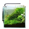 Pumpar Chihiros C -serie Full Spectrum Light Desktop Mini Tank LED Aquarium Lamp Water Gräs Utsökande och kompakt