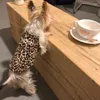 Dog Apparel Leopard Strap Vest Clothes Fashion Small Dogs Clothing Pet Outfits Cute Spring Summer Yorkies Print Girl Boy Ropa Para Perro