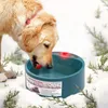 تغذية الكلب الساخن وعاء المياه الثابت
