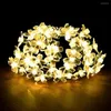 Cordes Guirlande Lumineuse Solaire Fleur Réglable Décoratif Lampe De Jardin Extérieur Sans Fil Éclairage Décoration Mur Suspendu 8 Mode