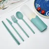 Ensembles de vaisselle 5 pièces vaisselle en paille de blé réutilisable de qualité PP couverts cuillère fourchette couteau Portable voyage pique-nique Kits accessoires de cuisine