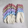 Kleidung Sets Herbst Baby Sport Sets Kleinkind Fleece Solide Hoodies Anzug Kleinkind Mantel Outfit 2PCS R231127