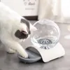 Karmienie Pawstrip 2,8L Pet Pet Cat Water Fountain Dog Water Dispenser Duże picie pies miska kota Pet Fontanna dla kota