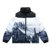 New Arrived Women And Mens Fashion Down Jacket North Winter The Nort Puffer Jackets Parkas With Letter Embroidery Outdoor Jackets be suitable for men and women