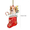 Decorações de jardim Dog Earnadores de árvore de Natal Candy Cane Star Topper Acrílico Pingente Decorativo Meia Vermelha