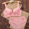 Bras stelt sexy dames bhs set borduurwerk rose push -up aangepaste bh -korte sets dames draadloze mode beha en panty set 230427