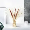 Fleurs décoratives pivoines en soie artificielles séchées 30 45 cm moelleux exagéré herbe fleur Arrangement Boho et