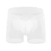 Sous-vêtements 1pc Boxers pour hommes Shorts Voir à travers Mesh Boxer Briefs Low Rise Soft Pouch Culotte Respirant Lingerie Sous-vêtements