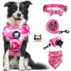Carrier MEOWS Dog Harness Set Include Vest Harness Collar Leash Handkerchief Scarf Poop Bag Accessories for Pet Cat Dogs Supplies