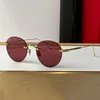 Óculos de sol Signature C de Carti redondos sem borda Sonnenbrillen pernas espelhadas de metal superfície espelhada com parafusos prisioneiros óculos masculinos de negócios da moda CT0393S