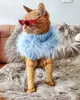 Delar färgglada valpkläder designer hundkläder liten hund katttröja schnauzer Yorkie poodle pälsrock