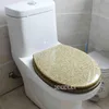 Couvertures nouvelles Highgrade Beautiful Twinkling Golden Resin Toilet Couvercle de siège ralentisse en acier inoxydable U / V / O COUVERTURE UNIVERSEL