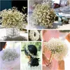 Flores decorativas arranjo de gypsophila decoração de casamento artificial flores de natal sechees decoração de casa respiração do bebê seco