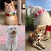 Tillbehör 50st elastisk plysch pom boll husdjur krage regnbåge blomma hår dekoration hund bowtie halsband husdjur katt båge hund grooming accessoarer