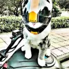 Chaussures Atuban Handsome Pet Casque Coup Cat Cat Cat Cap Extérieur Anticollision Mini Motorcycle CHET CAT Cat Styling Photo Props Pet Hat