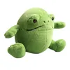 20/32 cm miękkie wypchane lalki Ricky Rain Frog Pluszowe zabawki Piękne okrągłe ciało żaba lalka dziecięce zabawki Plushie zielona żaba zabawka dla dzieci