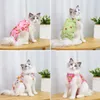 Costumes de chat, vêtements pour animaux de compagnie, récupération après blessure, costume de stérilisation Anti-acariens, tissu imprimé de dessin animé