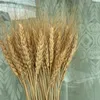 Decorative Flowers 50Pcs Bunch Wheat Ears Barley Dried Flower Bouquet DIY Wedding Party Decoration Eid Mubarak 2023 Bridal