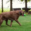 Brinquedos caitec brinquedos para cães, futebol para cães, flutuante, duro e firme, adequado para arremesso ao ar livre, adequado para cães de médio a grande porte