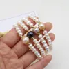 Link Bracelets Natural Freshwater Pearl Elastic Rope Melon Seed Buckle White Purple For Women Charm Jewelry Bracelet Gift