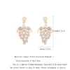 Hoopörhängen kvinnor Stud Small Grape Drop Elegant Luxurious 14k Gold Plated Ladies Accessories Simple Design 2023