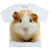Herr t-skjortor sommarguinea gris 3d tryck t-shirt män kvinna hamster söt djur o-hals streetwear barn överdimensionerade harajuku tees toppar
