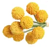 Fleurs décoratives 1 Bouquet Fausse fleur Facile d'entretien Simulation Boule de chrysanthème