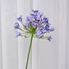 Dekorative Blumen, wunderschöner afrikanischer Agapanthus-Zweig, künstliche Seide, Hochzeitsdekoration, Raumdekoration, Fleurs Artificielles-Kranz