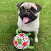Transportörer Pet Dog Toys Soccer Ball Interactive Toys For Dogs Kids Outdoor Training Soccer Dog Chew Toy Small Medium Dog's Toys