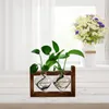 Vases Hydroponic Glass Vase Vintage Desktop Plant Terrarium Planter With Retro Wooden Stand Home Garden Decor