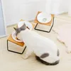 かわいい猫のボウルハイエンドペットボウル竹の棚セラミックセラミック給餌と犬用の飲酒ボウル