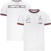 F1 T-shirt formule 1 équipe course costume T-Shirt manches courtes été séchage rapide hommes hauts de sport surdimensionné imprimé T-shirts décontractés