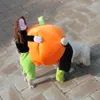 Vêtements d'halloween pour chiens, Costume de citrouille amusant pour animaux de compagnie, Cosplay, événements spéciaux, tenue pour chiens, Costumes mignons