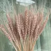 Decorative Flowers 50Pcs Bunch Wheat Ears Barley Dried Flower Bouquet DIY Wedding Party Decoration Eid Mubarak 2023 Bridal