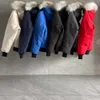 Puffer kamizelka designerska płaszcz męski zagęszczony ciepły swobodny unisex zimowy futra hurtowa futra z kapturem