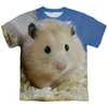 Herr t-skjortor sommarguinea gris 3d tryck t-shirt män kvinna hamster söt djur o-hals streetwear barn överdimensionerade harajuku tees toppar