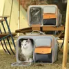 Sac à dos de transport pour chat, sac de transport pour petit chien et chat de petite et moyenne taille, sac à dos de randonnée pour chien