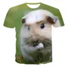 Herr t-skjortor sommarguinea gris 3d tryck t-shirt män kvinna hamster söt djur o-hals streetwear barn överdimensionerade harajuku tees toppar