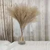 Dekorativa blommor Pampas gräsdekor fluffig vass bröllop blomma grupp torkad hem decore kontor fall