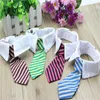 Hundkläder 200st/Lot Cat Animal Rands Bow Tie Collar Pet Grooming Justerbar nack Vit slips Party Wedding Decor