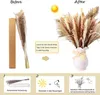 Dekorativa blommor 70st Natural Pampas Grass Decor Boho Home Bouquet Torkad för bröllopsfest baby shower arrangemang