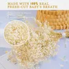 Decorative Flowers Gypsophila Arrangement Artificial Wedding Decoration Christmas Fleurs Sechees Home Decor Baby's Breath Dried