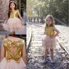 Girl Dresses Gorgeous Flower For Tulle Princess Lace Sleeveless Holy First Communion Gowns Party Pageant Dress Formal Wear
